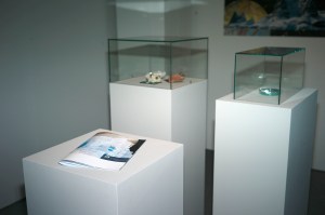 Diana Wehmeier EUROPA imm2028. icy moon mission - installation detail 2016 photo baldaufandbaldauf