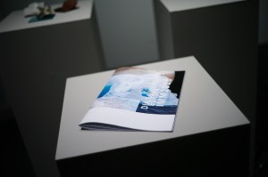 diana-wehmeier-europa-imm2028-icy-moon-mission_imm2028-magazine-2016-_photo-baldaufandbaldauf