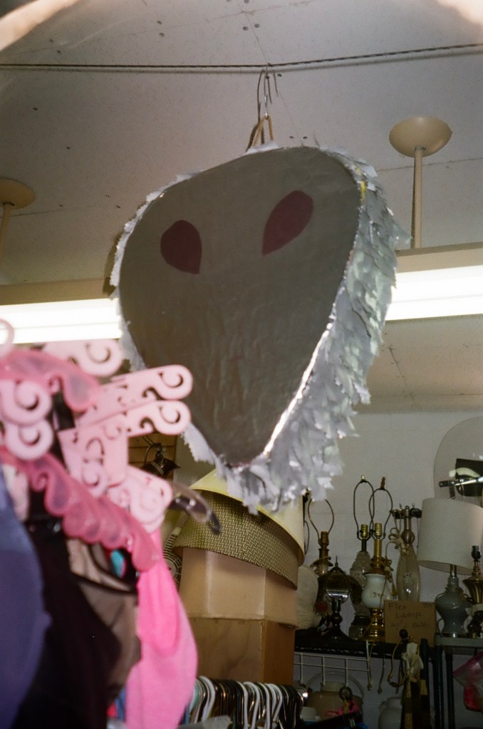 DIANA LUNA GUZMAN 35mm analog photography Joshua Tree, 2023